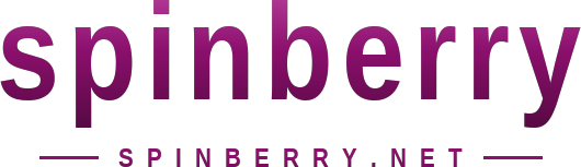spinberry logo